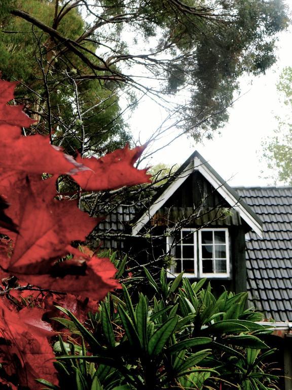 Arden Country House Waitati Eksteriør billede