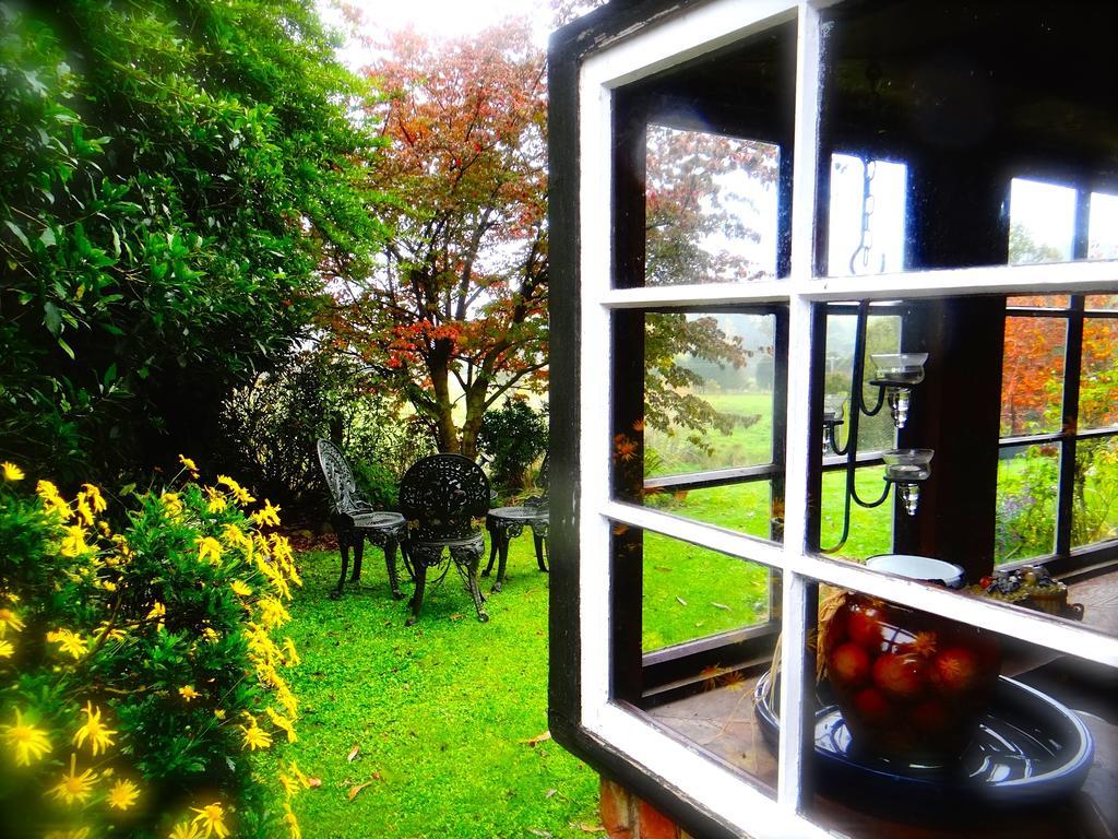 Arden Country House Waitati Eksteriør billede