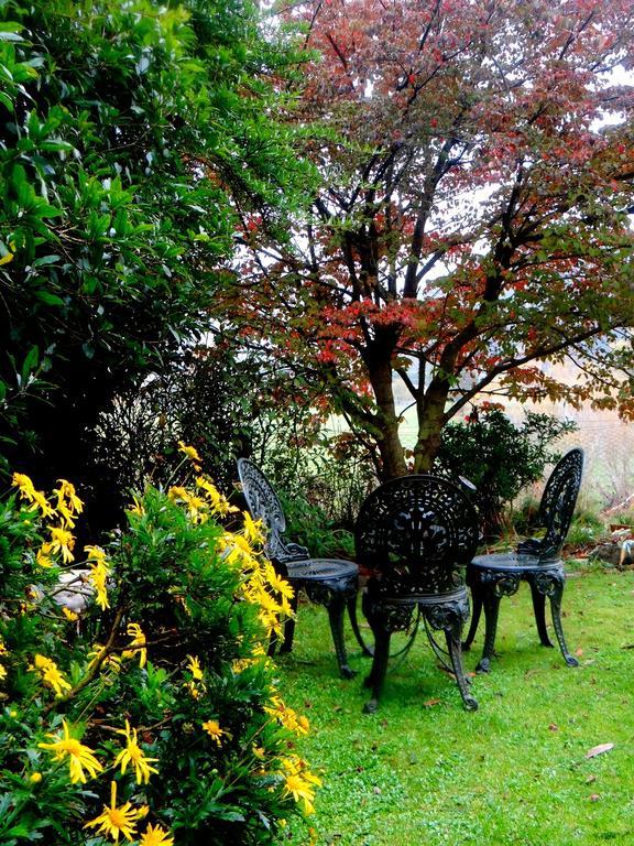 Arden Country House Waitati Eksteriør billede