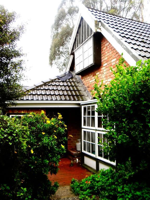 Arden Country House Waitati Eksteriør billede