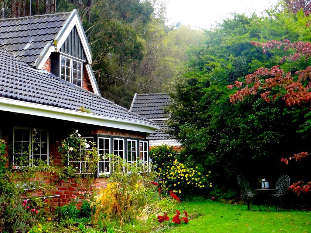 Arden Country House Waitati Eksteriør billede